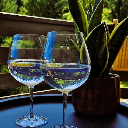 Cozy Retreat - Completely Renovated In A Perfect Location Crans-Montana